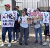 Bochornosa Estupidez Humana